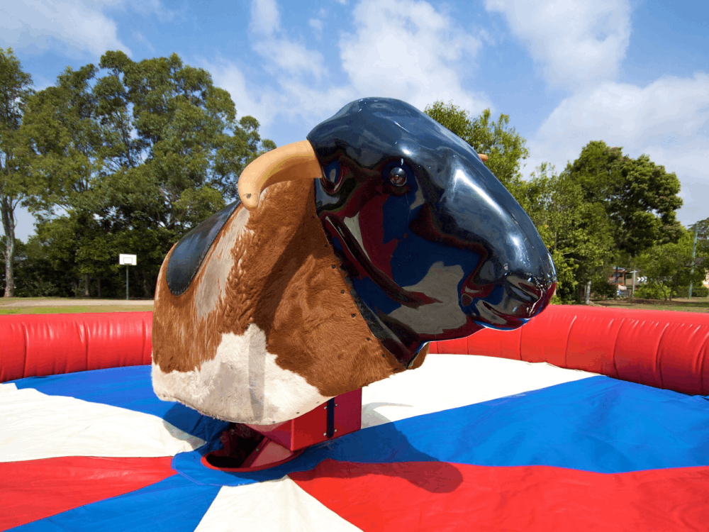 Bucking Bull